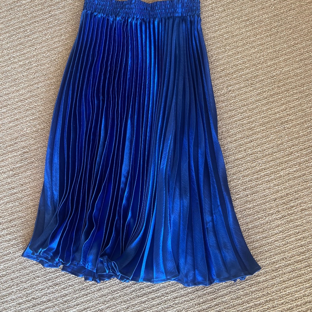 Anthropology HD in Paris - pleated blue midi skirt